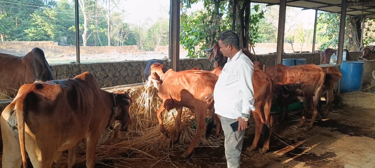 WhatsApp Image 2025-06-17 at 5.46.07 PM