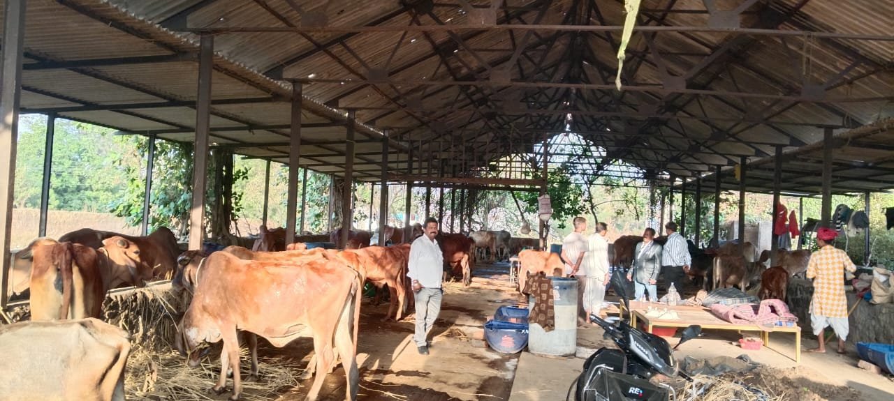 WhatsApp Image 2025-06-17 at 5.46.08 PM